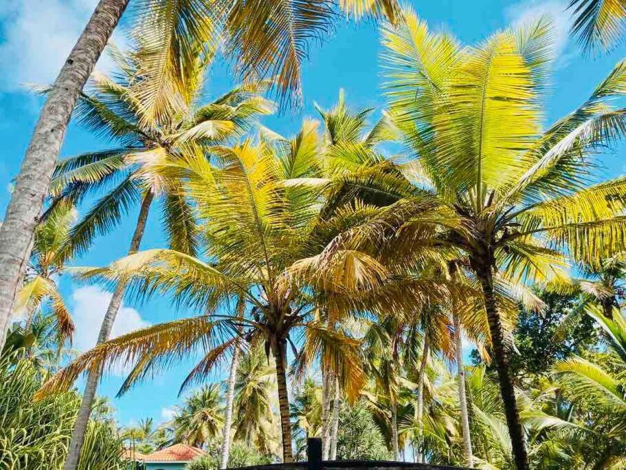 PALM HOUSE - LUXURY VILLA - SAMANÁ - Ocean Front Sánchez Esterno foto