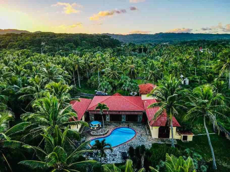 PALM HOUSE - LUXURY VILLA - SAMANÁ - Ocean Front Sánchez Esterno foto