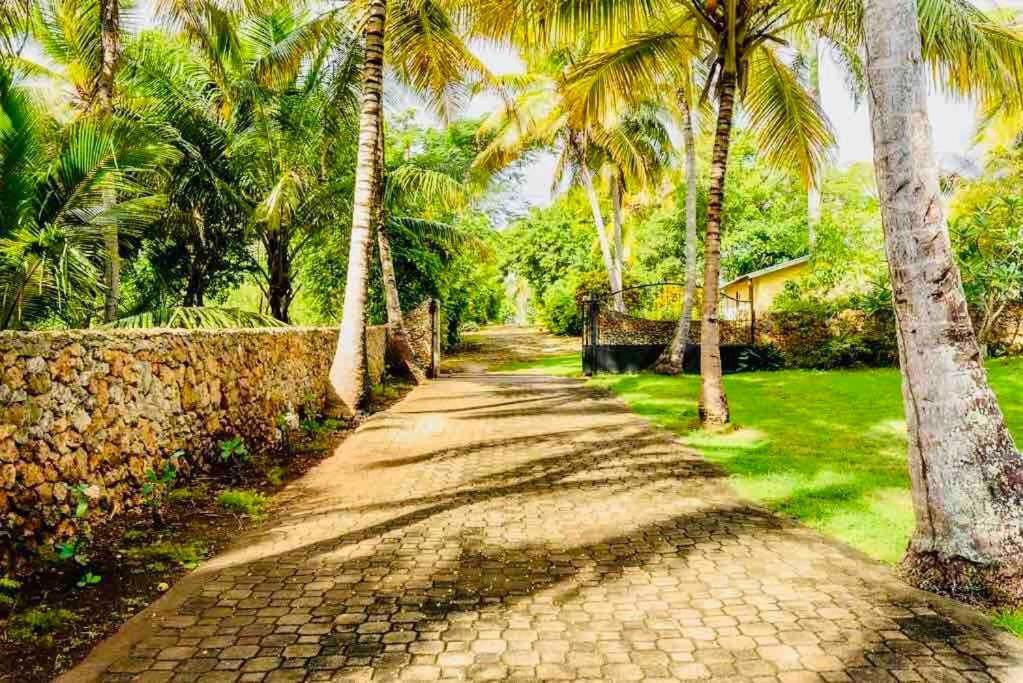 PALM HOUSE - LUXURY VILLA - SAMANÁ - Ocean Front Sánchez Esterno foto